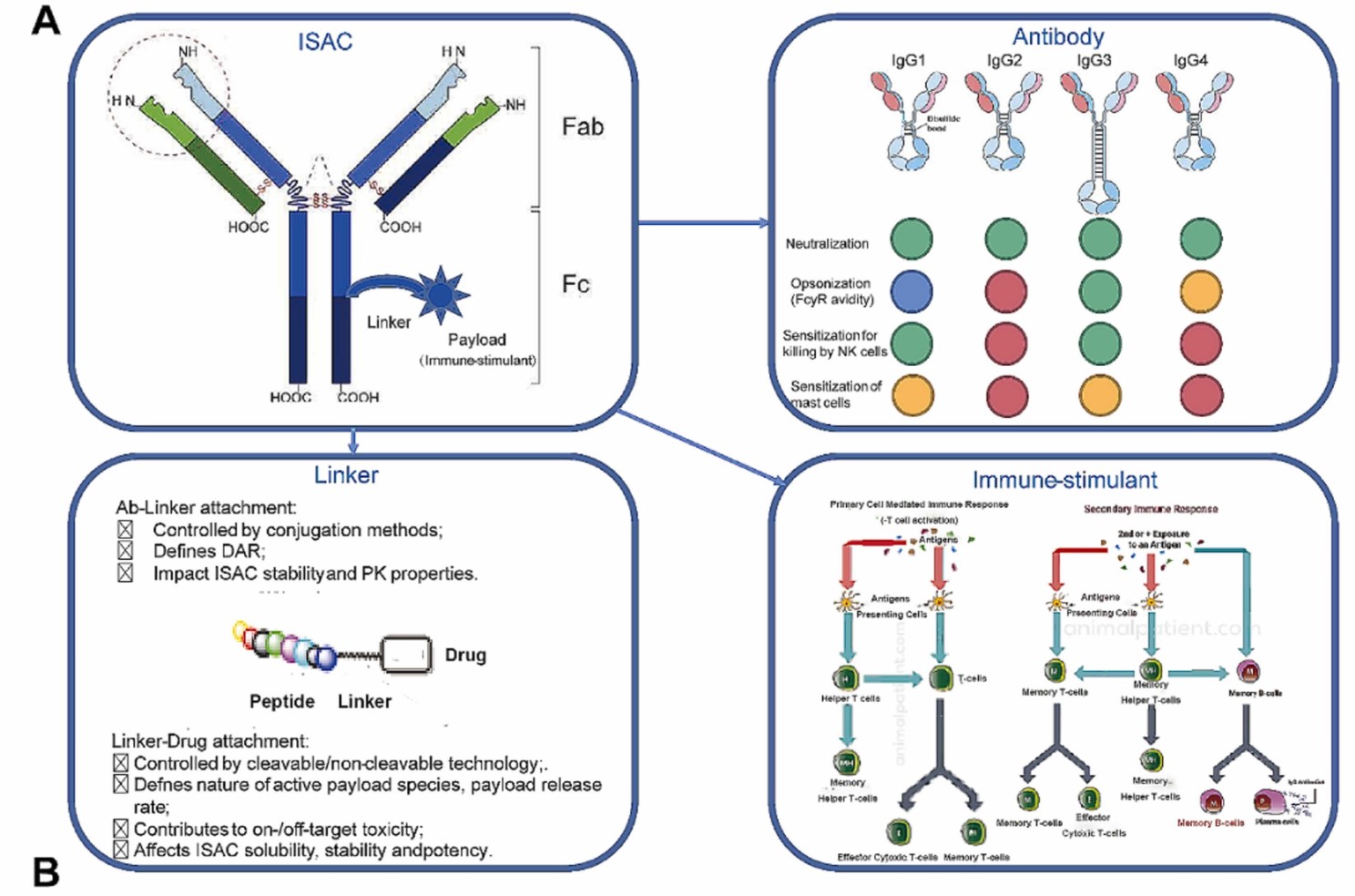 Week 3, July 2024: Immunostimulatory ADCs (iADCs)