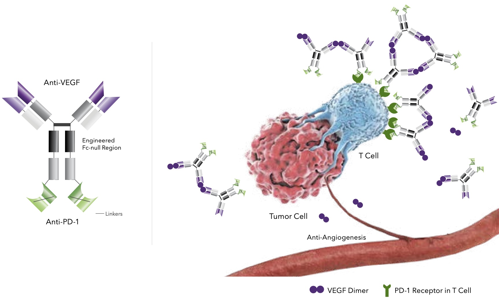 Week 2, September 2024: Non-Small Cell Lung Cancer