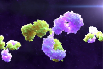 September 2024: Bispecific Antibodies in Oncology