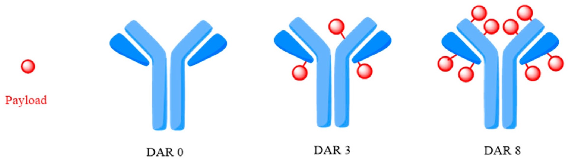 抗体薬物複合体（ADC）と薬物―抗体比（DAR）