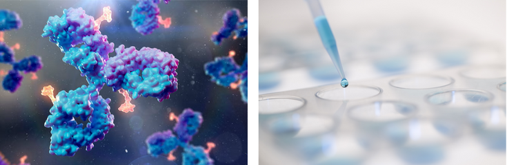 12.2024 glycoengineering 2.png