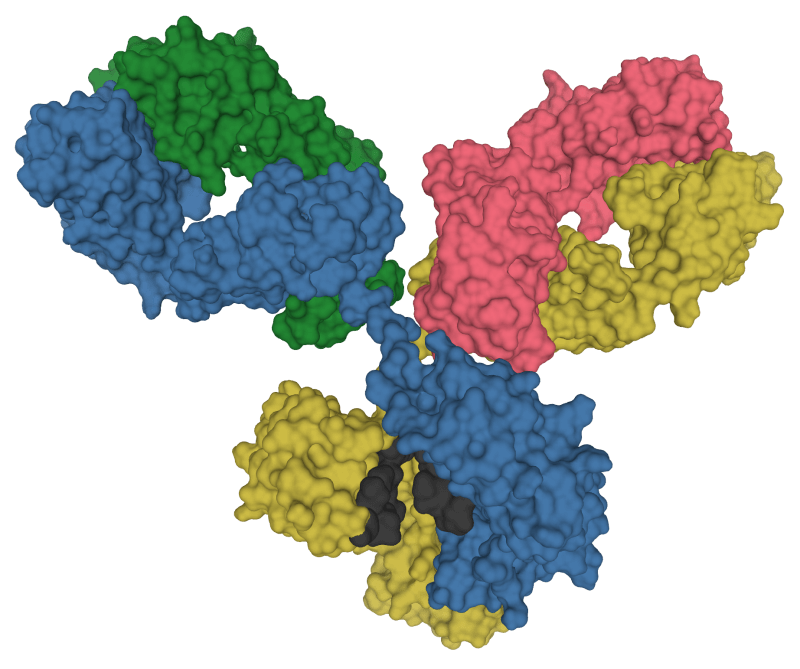 Biointronがわずか2週間で成果を提供