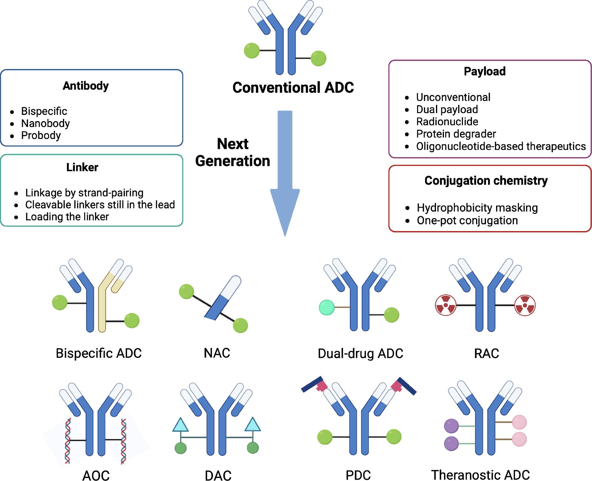 抗体薬物複合体（ADC）：バイオ医薬品分野を変革する