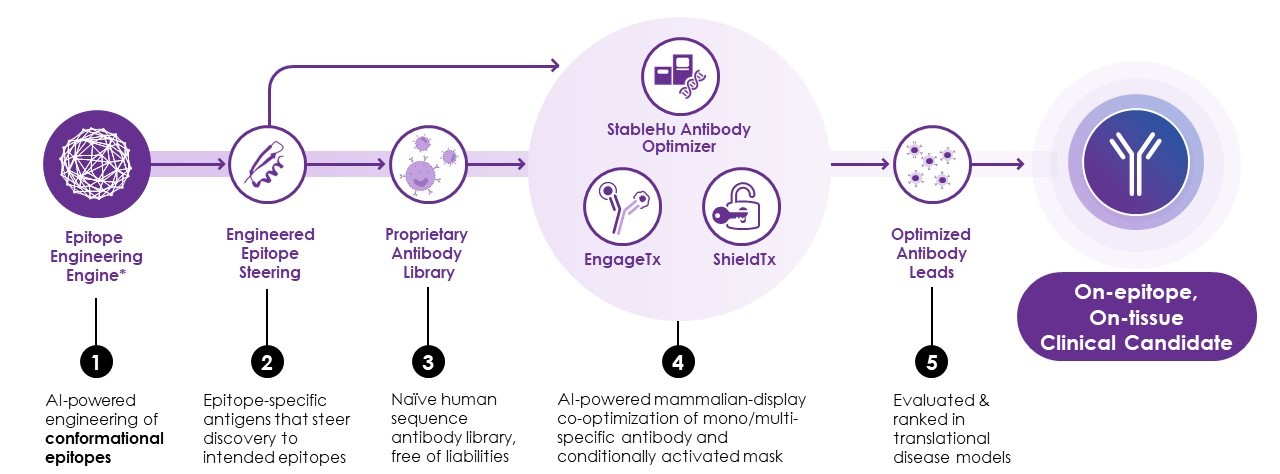 Week 4, January 2025: Novel Antibodies to Treat Obesity
