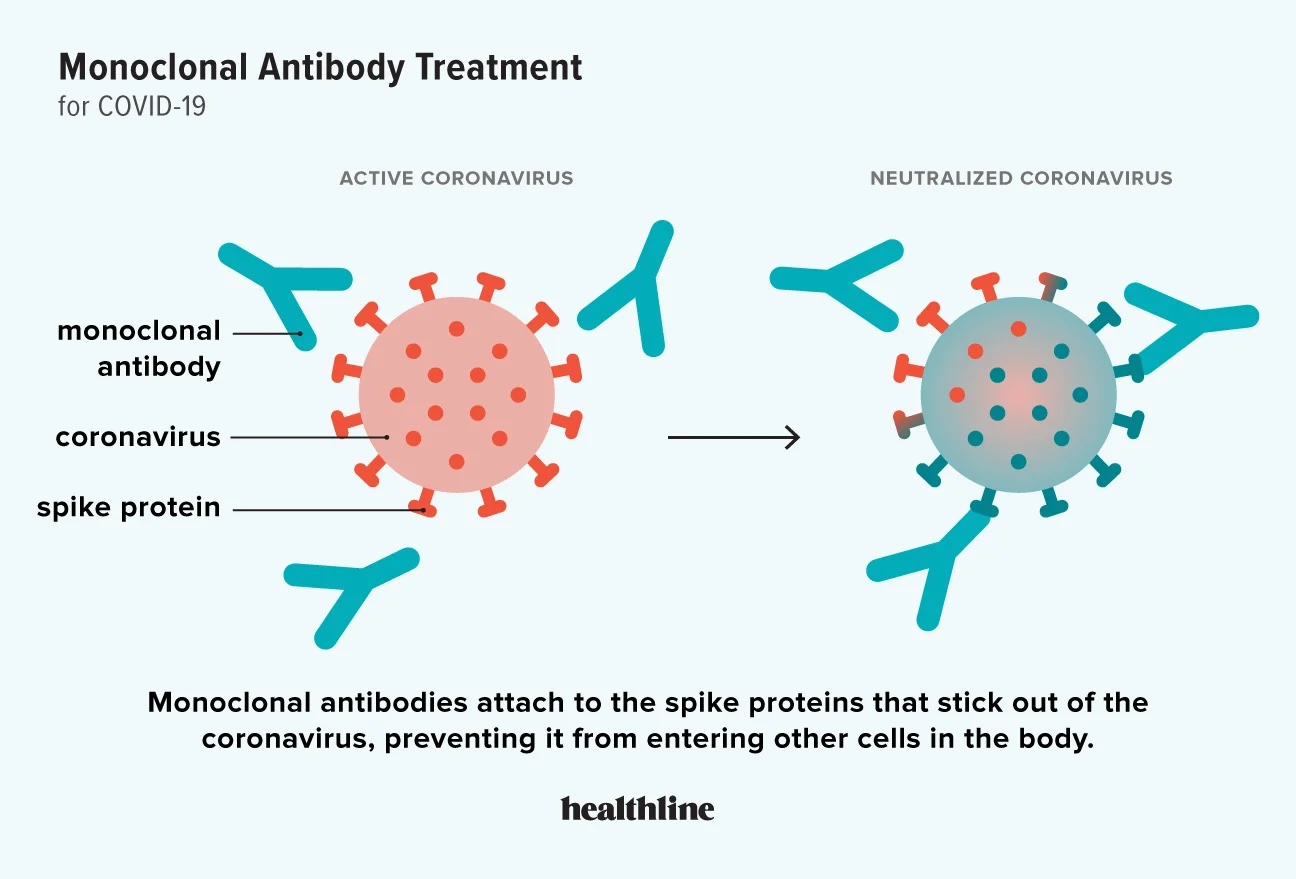 現代医療におけるモノクローナル抗体