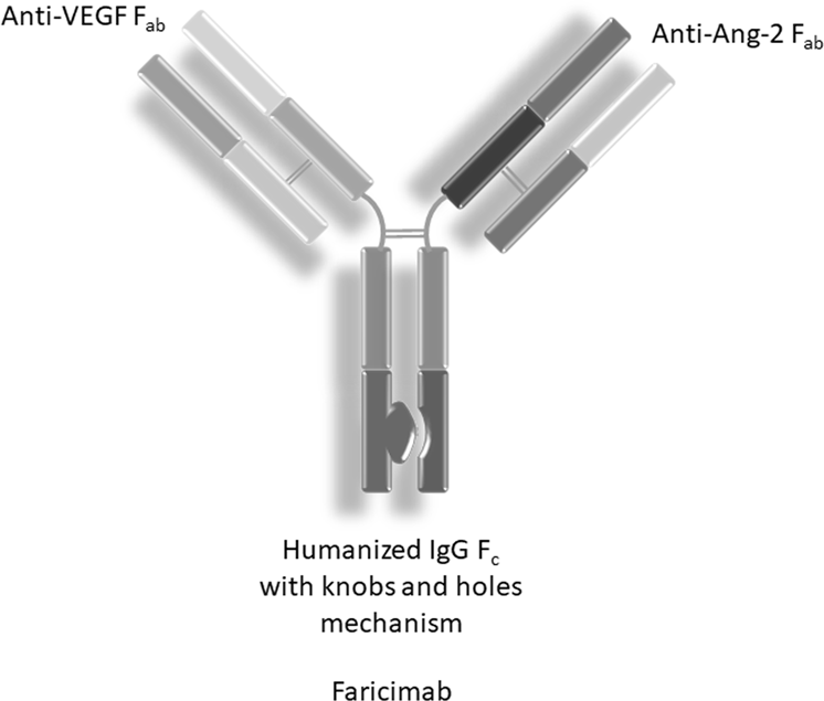 41433_2019_670_Fig1_HTML.png