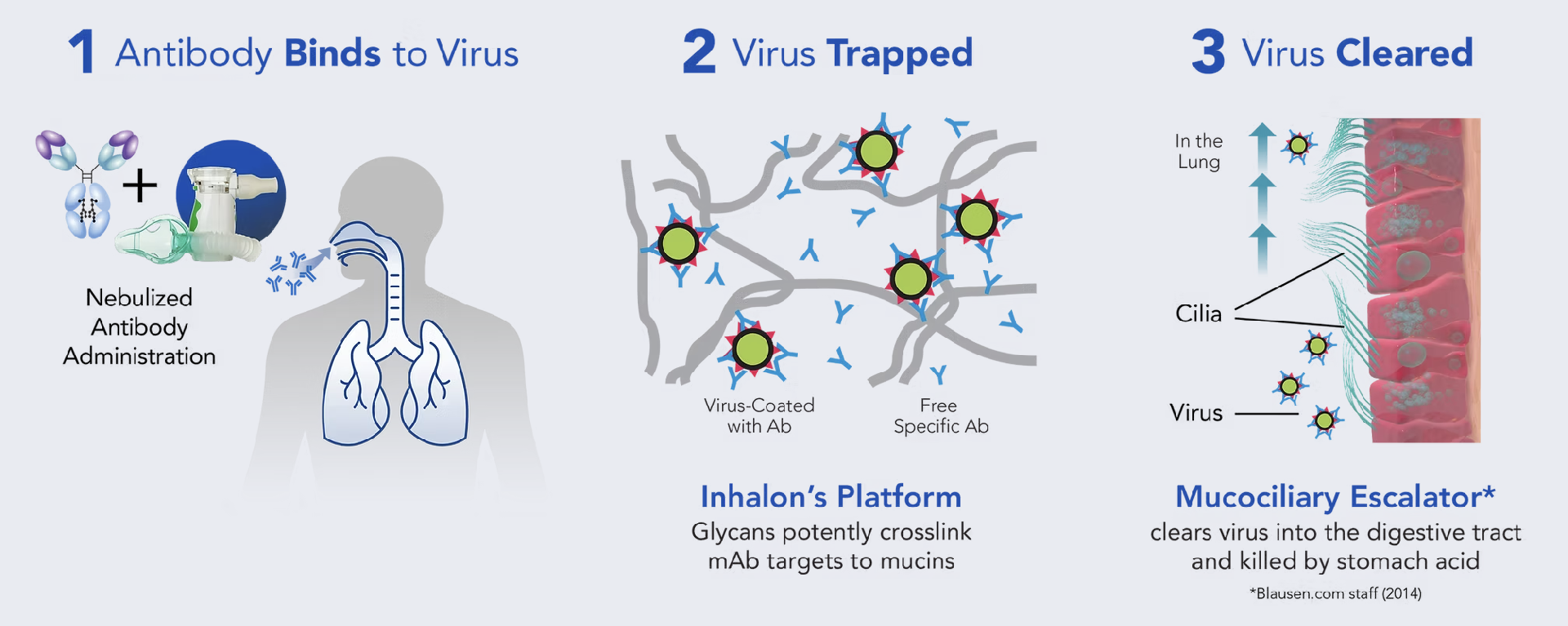 Week 1, February 2025: Inhaled Antibodies