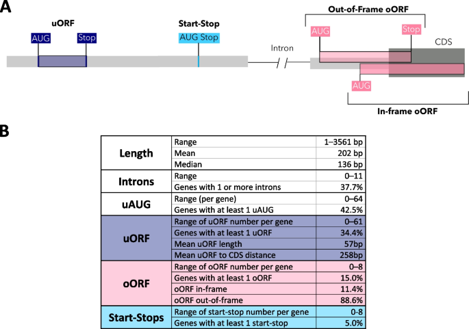 13059_2024_3248_Fig1_HTML.png