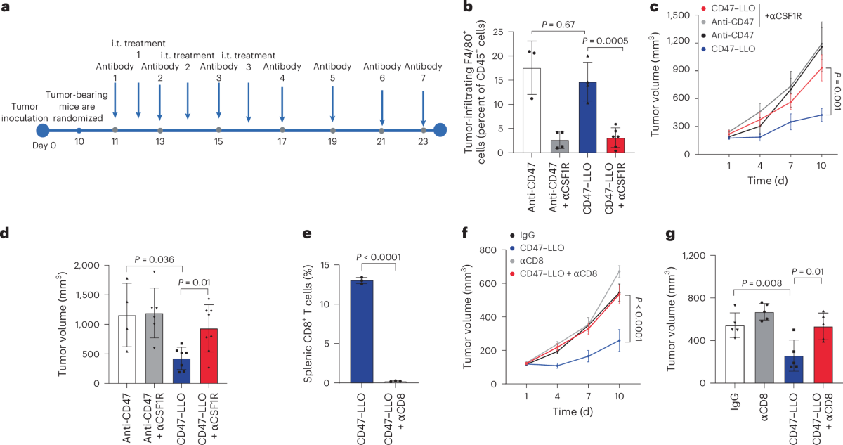 Week 4, February 2025: Antibody-Toxin Conjugates