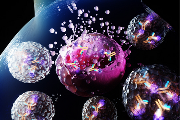 March 2025: Immunotoxins (Antibody-Toxin Conjugates)
