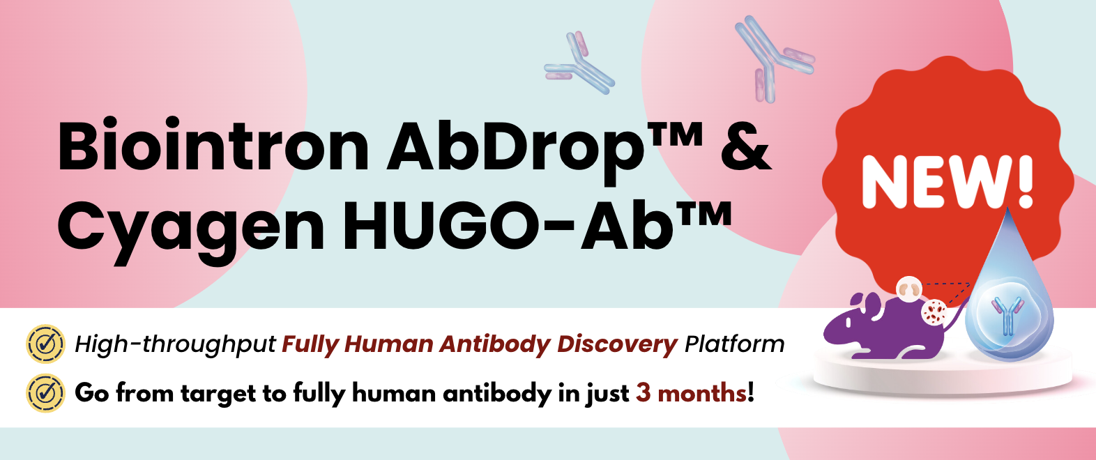 Biointron Launches a Fast Antibody Discovery Platform