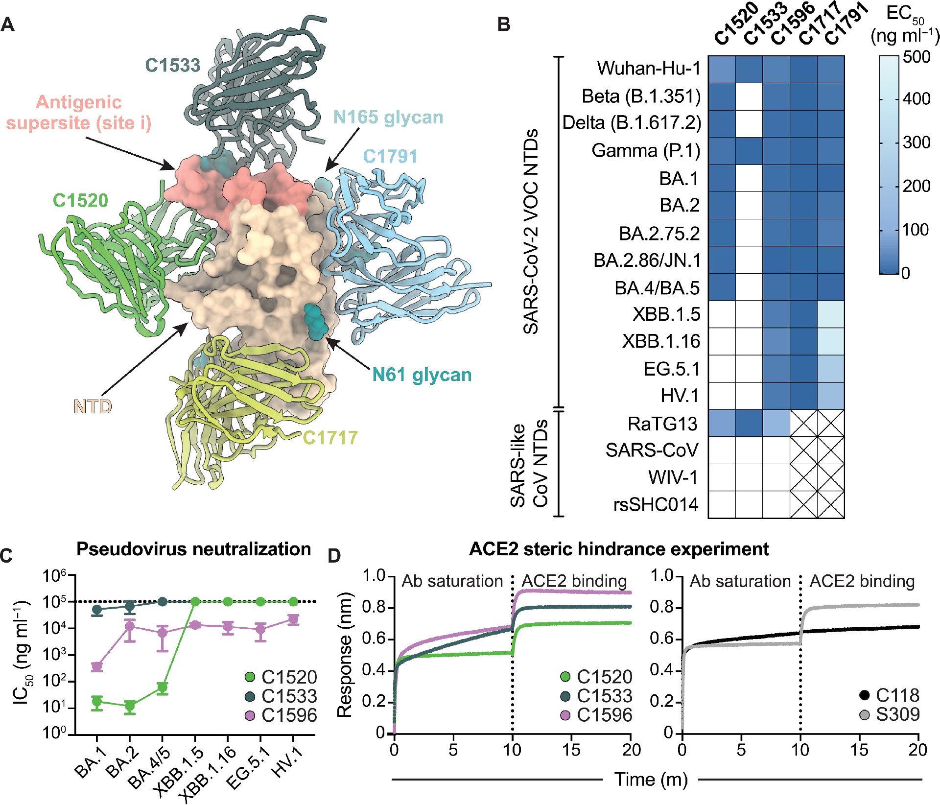 Week 2, March 2025: Neutralizing SARS-CoV-2, 6 Years On: Evolving Strategies and Insights