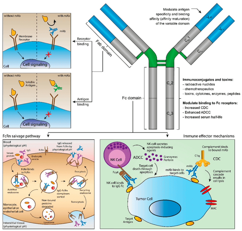 pharmaceutics-12-00062-g003.png
