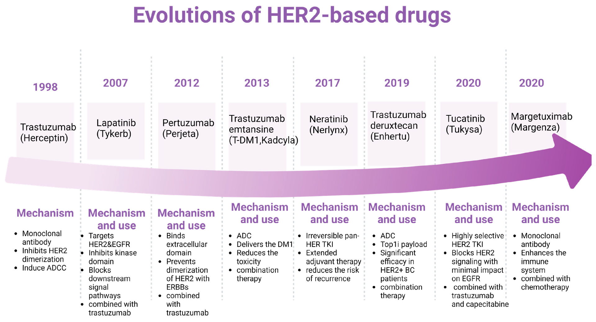 genes-15-00903-g003.png