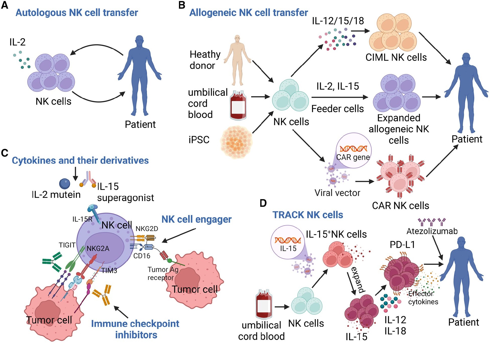 Week 2, May 2025: Multifunctional NKCEs (Natural Killer Cell Engagers)
