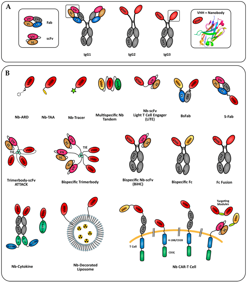 antibodies-08-00013-g001.png