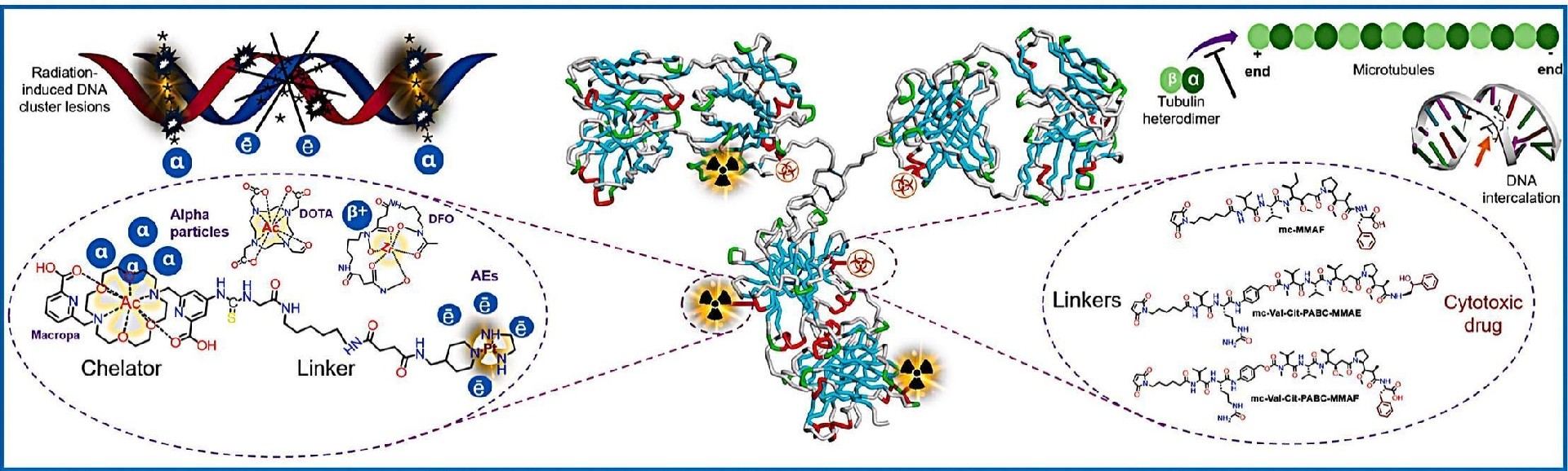Week 2, June 2025: Antibody Engineering as a Countermeasure to Drug Resistance