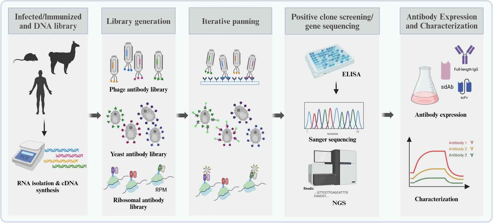 Week 2, September 2025: The Convergence of High-Volume Antibody Platforms