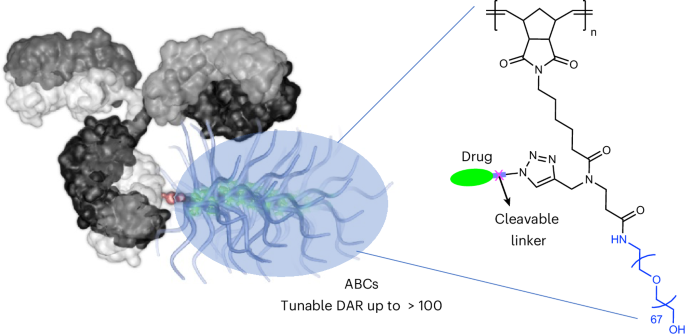 Week 3, September 2025: Antibody Conjugates: Expanding Beyond ADCs