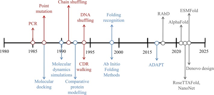 Historical Discovery and Key Experiments in Affinity Maturation
