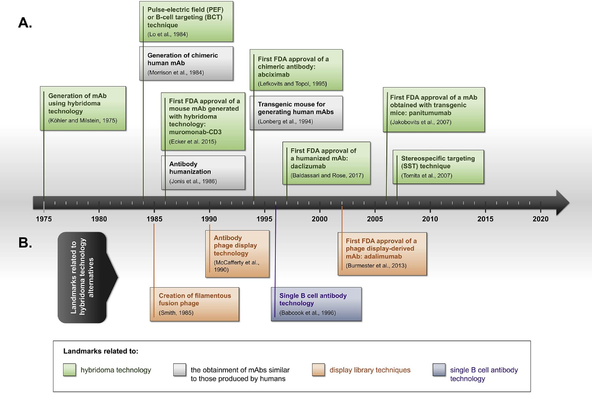 Application and Limitations of Hybridoma Technology