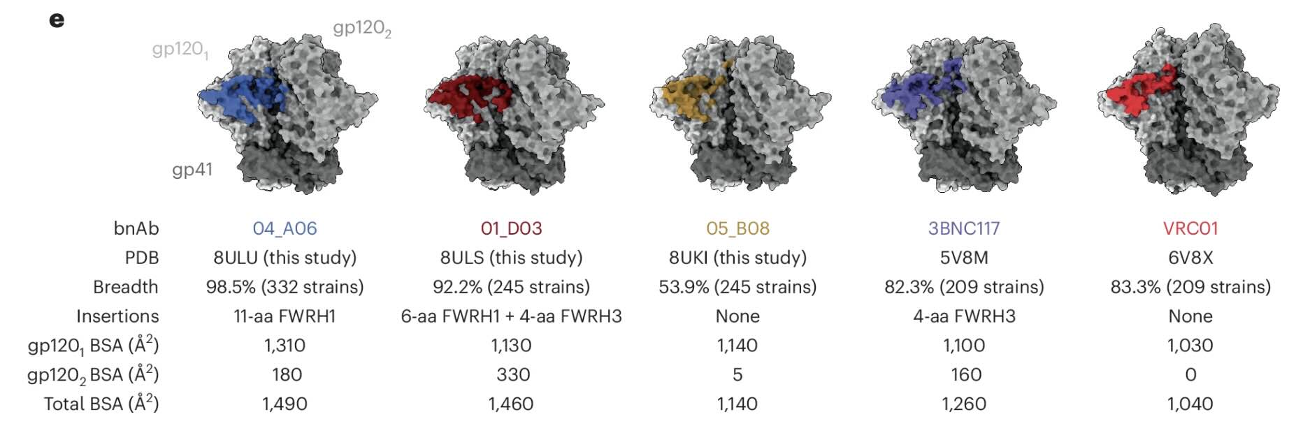 Week 3, October 2025: Toward Universal Antibody Therapeutics