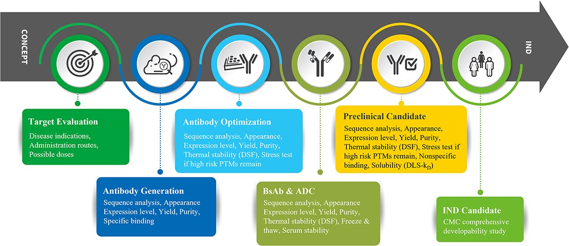 Designing for Developability: A New Mindset for Antibody Discovery