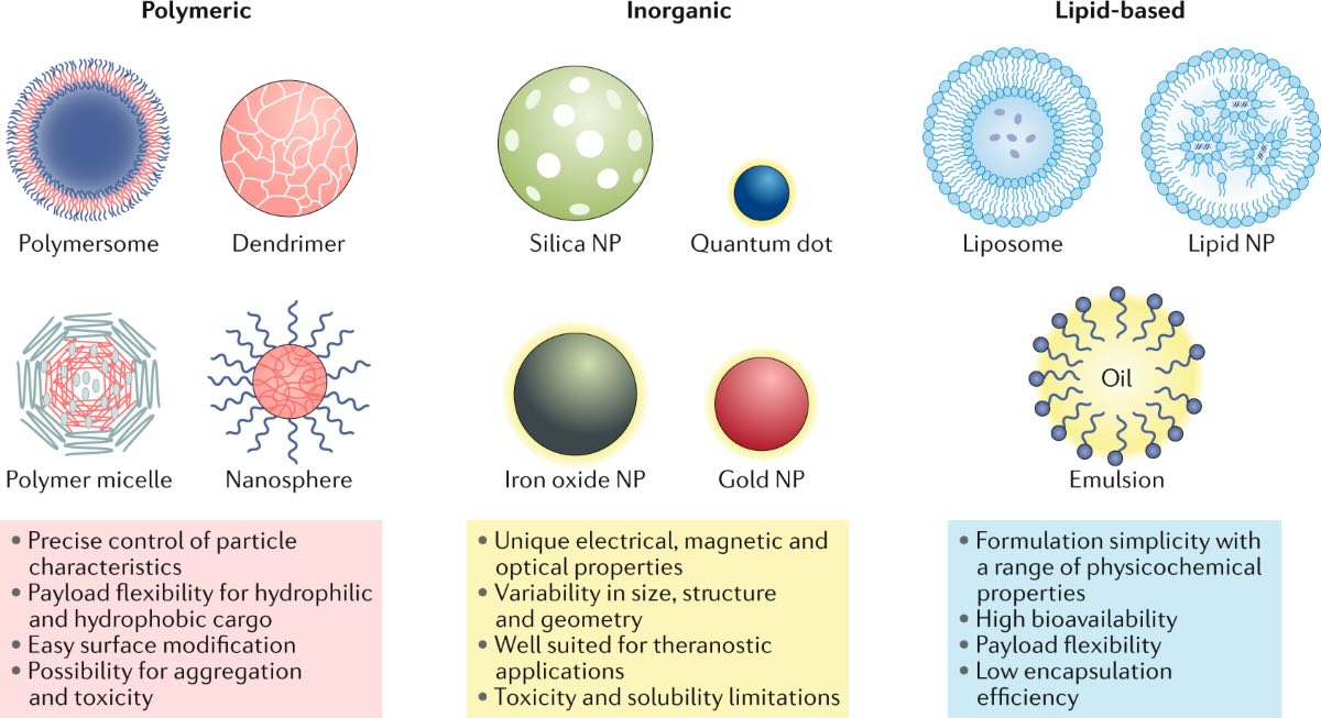 Week 3, November 2025: Nanoparticles: Conjugated and Incorporated with Antibodies