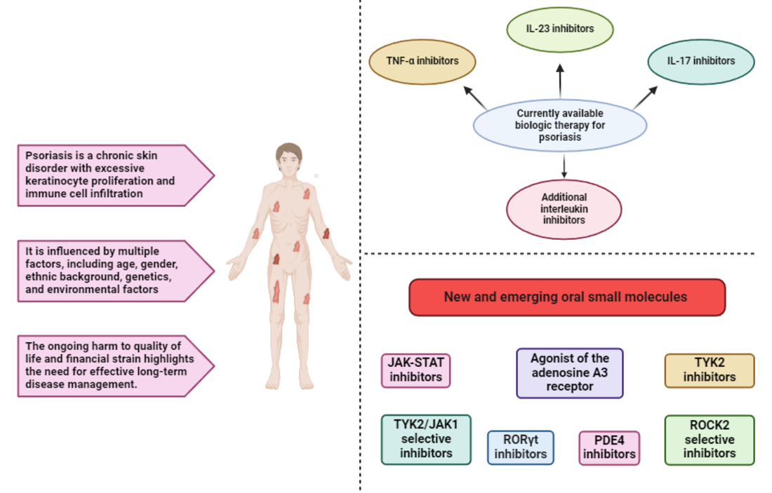Week 1, December 2025: Antibody Therapeutics in Psoriasis: Mechanisms and Milestones
