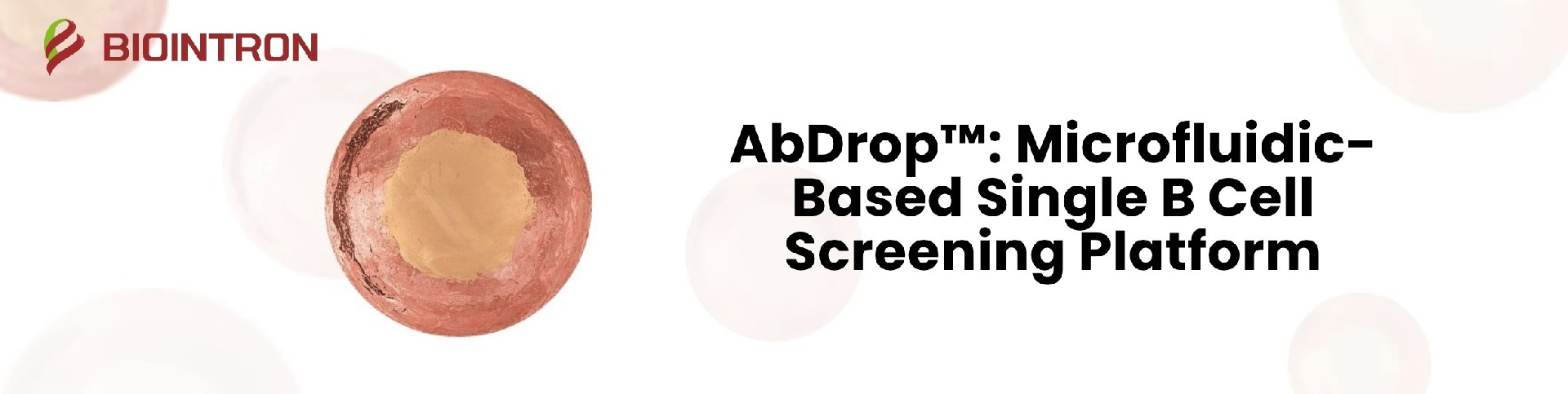 New Publication Highlights Biointron’s AbDrop Platform for Plasma Cell-Based Antibody Discovery