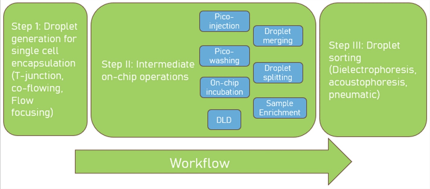 Week 2, December 2025: Microfluidic Strategies Driving Next-Generation Antibody Discovery
