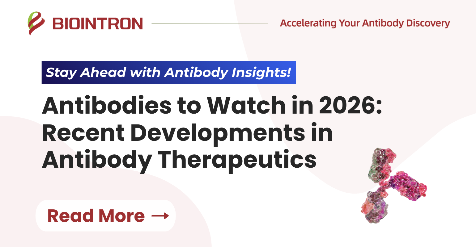 Antibodies to Watch in 2026: Recent Developments in Antibody Therapeutics