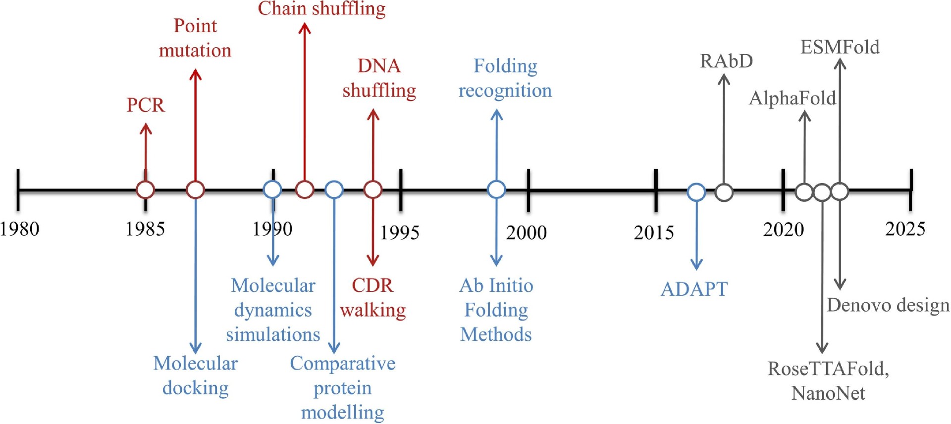 VHH Antibodies Binding Affinity: Mechanisms, Measurement, and Applications
