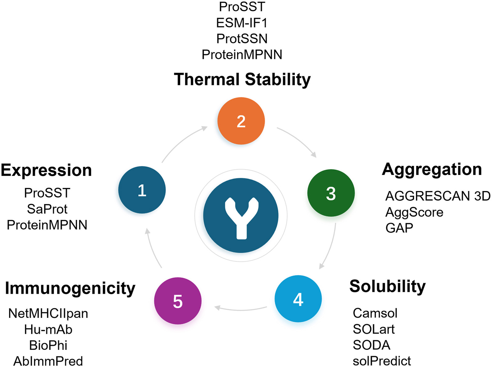 How AI Is Transforming Antibody Developability