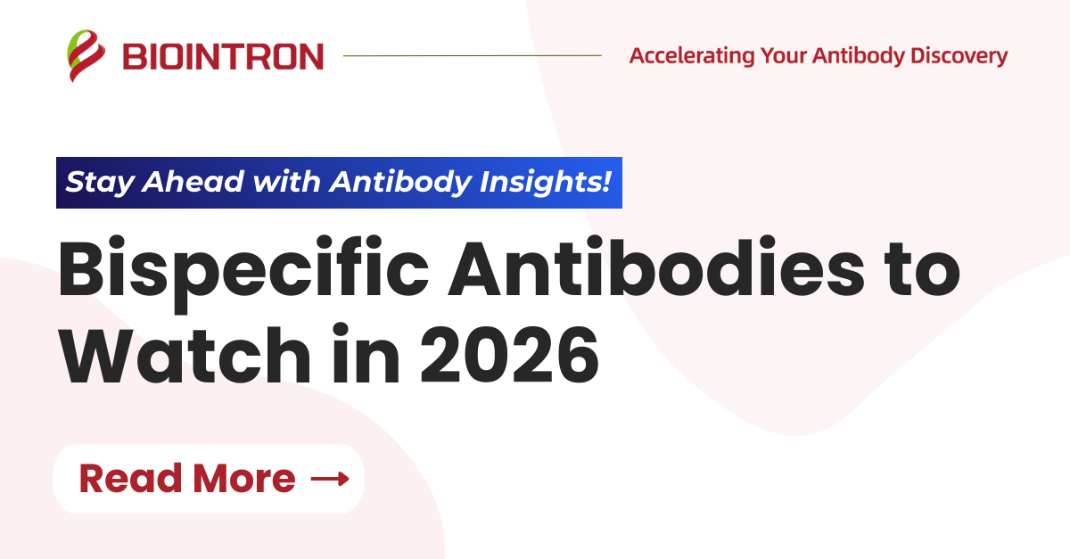 Bispecific Antibodies to Watch in 2026