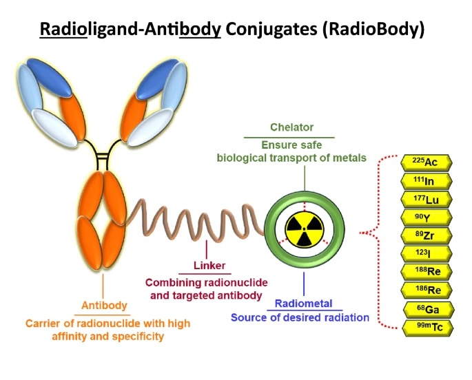 radio.jpg