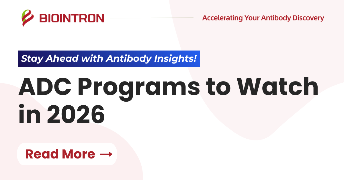 Antibody-Drug Conjugate (ADC) Programs to Watch in 2026