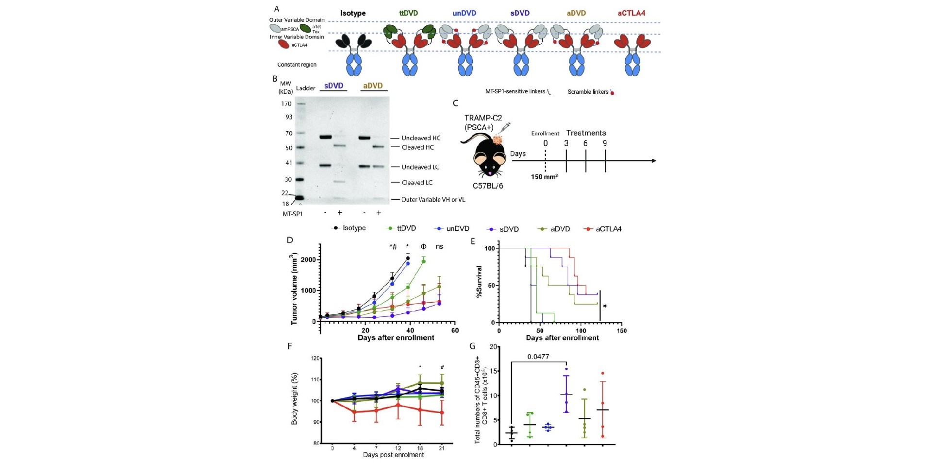 Week 2, February 2026: Conditionally Active Antibodies