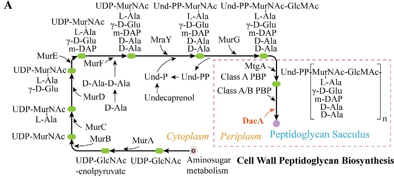 kuac016fig1.jpg