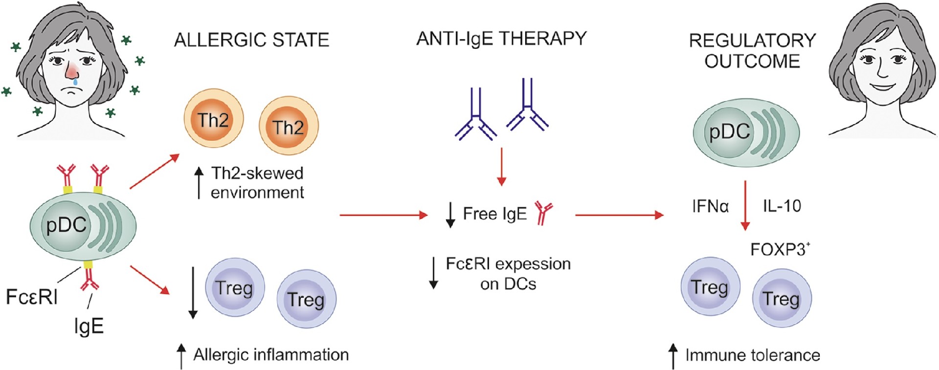 Week 4, March 2026: Emerging Directions in Anti-IgE Therapeutics