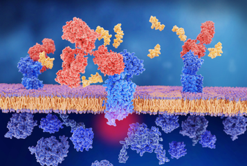 April 2026: Closing the Throughput-Quality Gap in Antibody Discovery