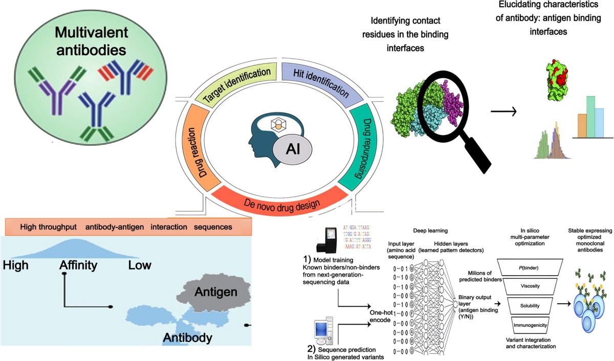 Where AI Actually Helps Antibody Development
