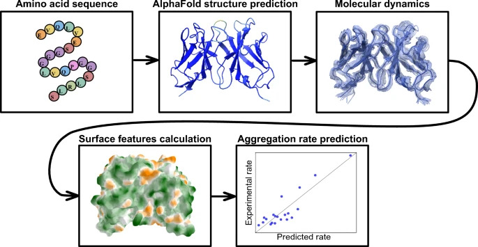Week 2, April 2026: Exploring Antibody Behavior Through Molecular Dynamics