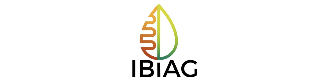 ibi ag.png