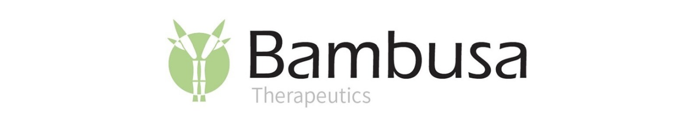 bamb.png