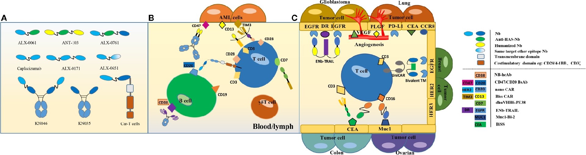 Multivalent and Bispecific VHH Constructs