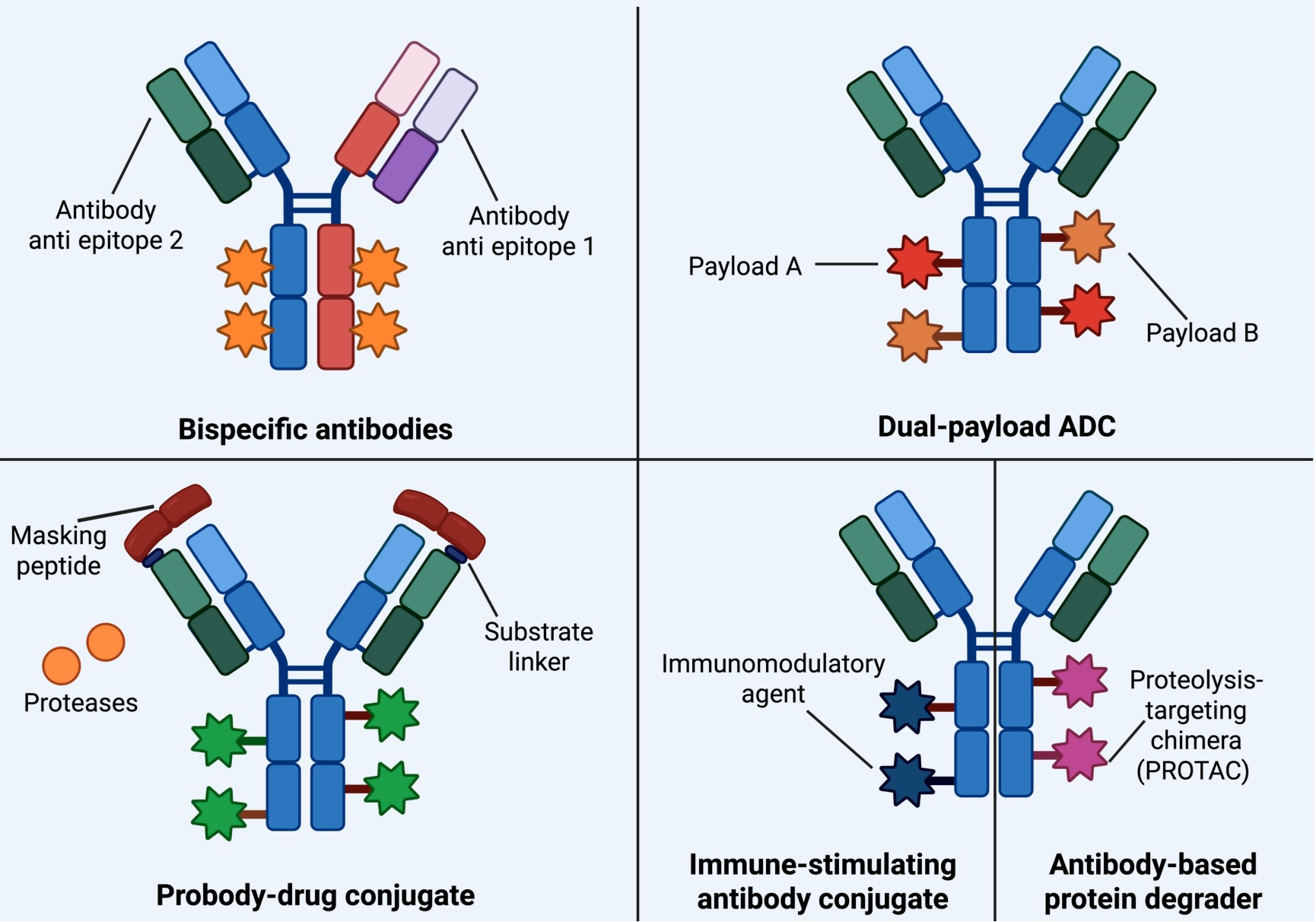 Next-Generation Antibody Conjugates for Targeted Anticancer Drug Delivery