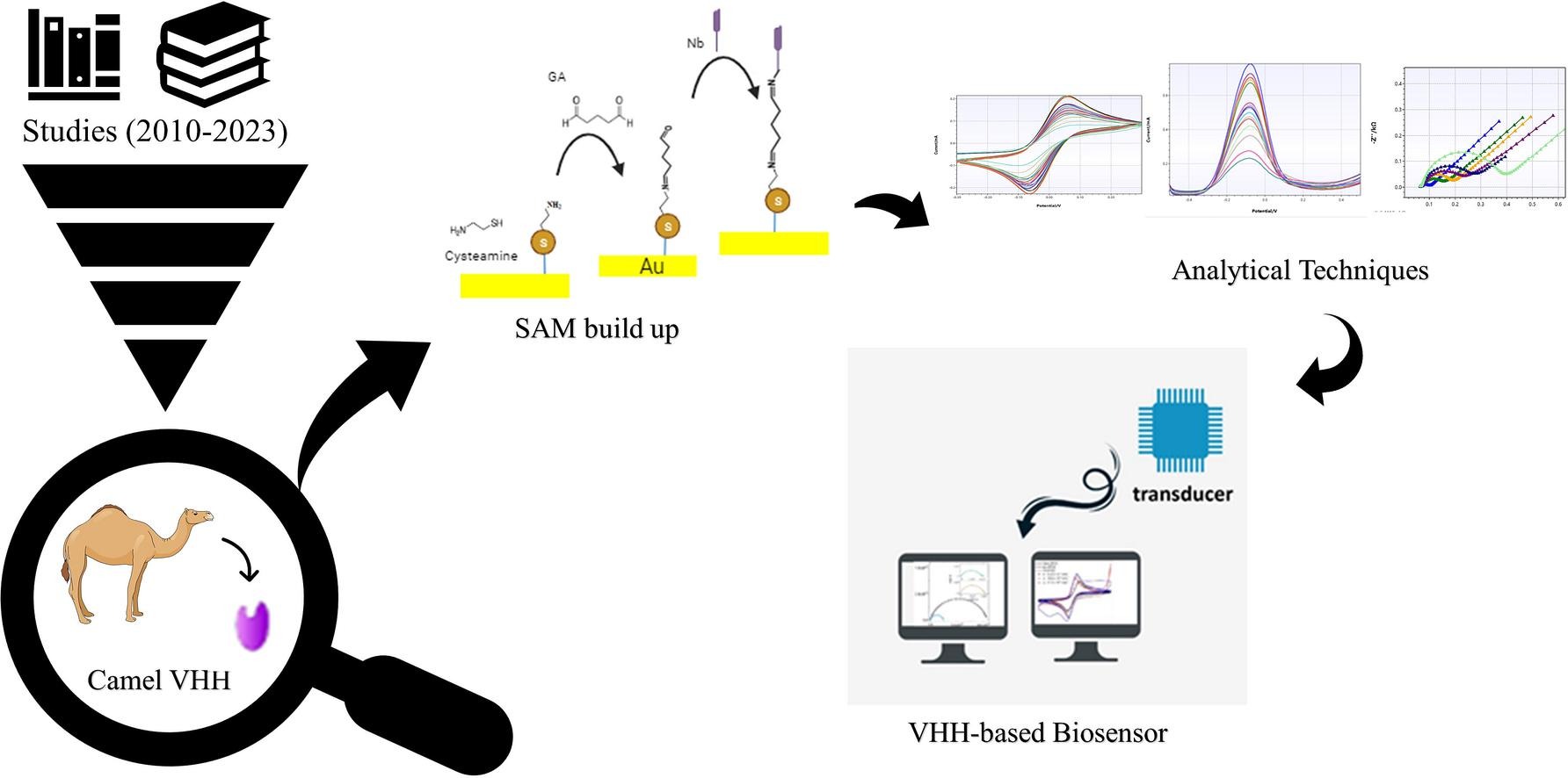 VHH-Based Biosensors: Precision Tools for High-Sensitivity Detection