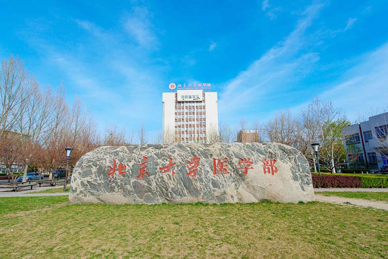 中国トップ2大学での開催 — 清華大学・北京大学でのBiointronキャリアフェア