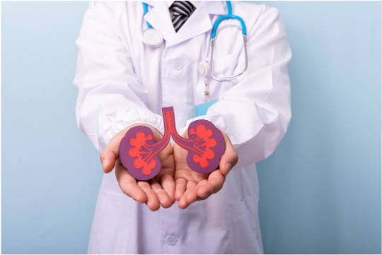 March 2024: Organ Transplantation